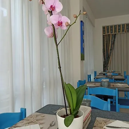 Otel Arix Rimini